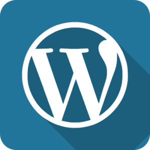 E-commerce Development USA