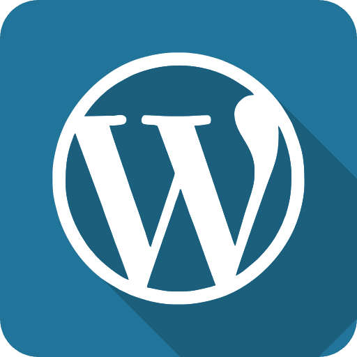 E-commerce Development USA
